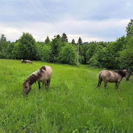 Sudecka Chata Bystrzyca Kłodzka Exterior foto