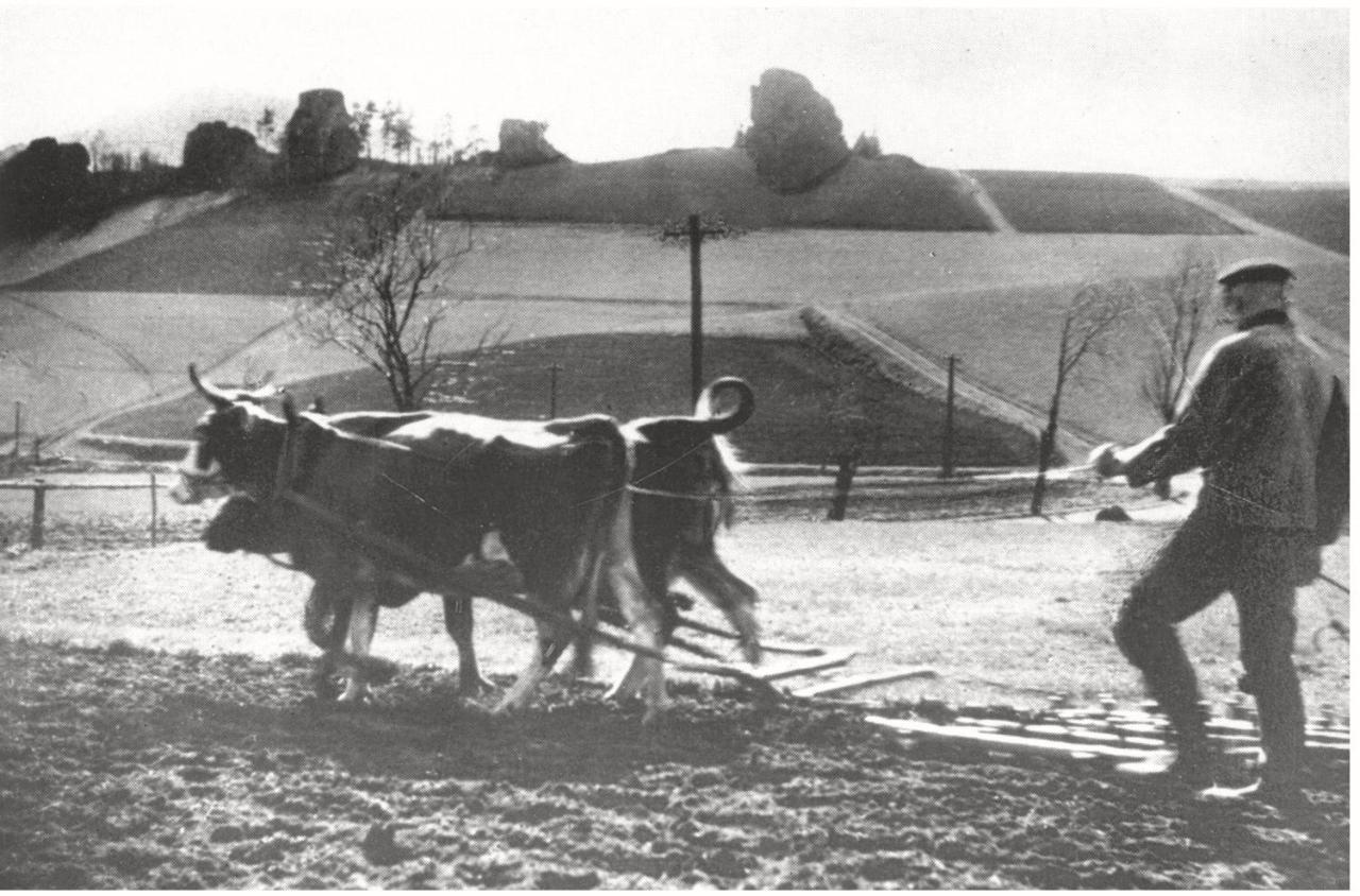 Sudecka Chata Bystrzyca Kłodzka Exterior foto