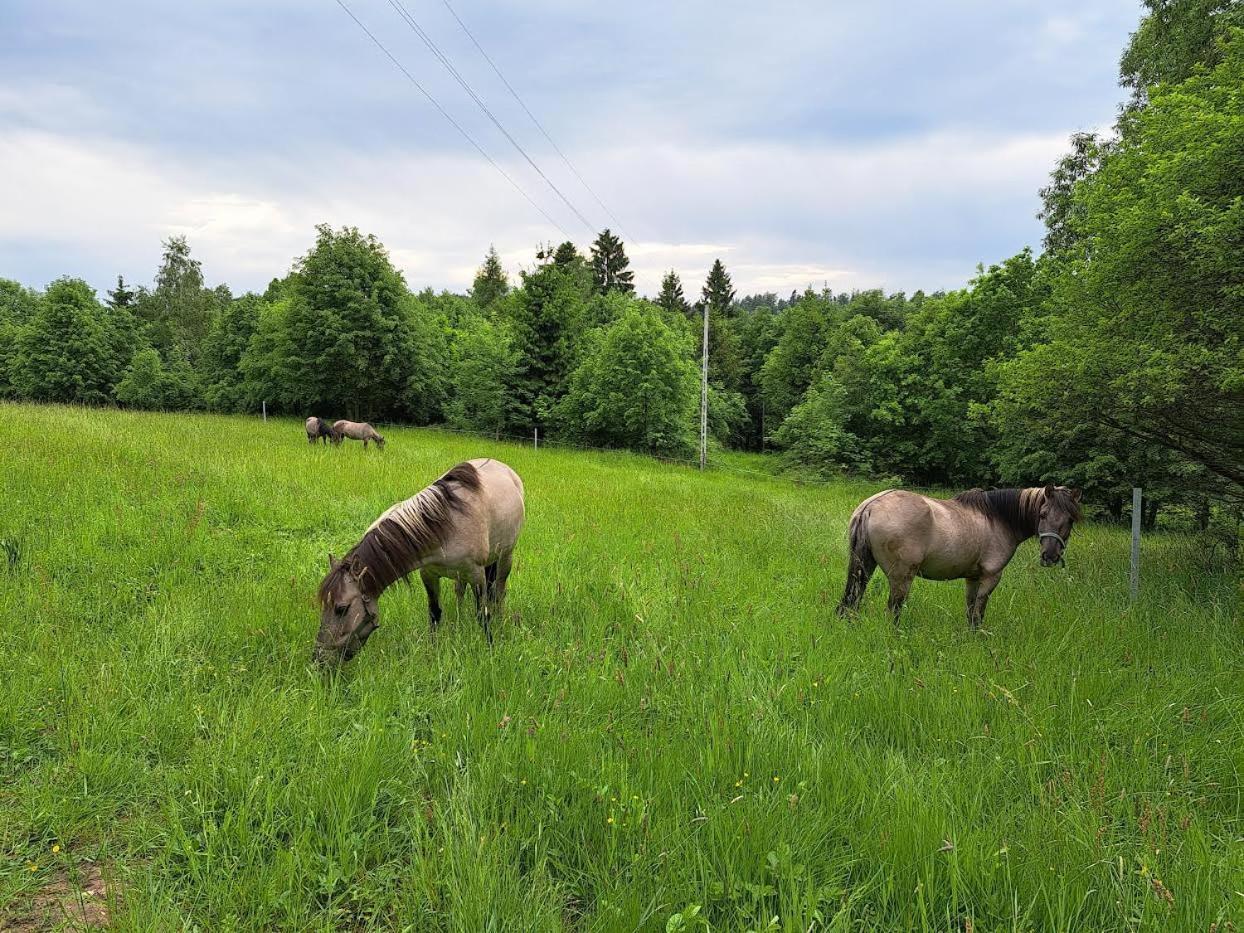 Sudecka Chata Bystrzyca Kłodzka Exterior foto